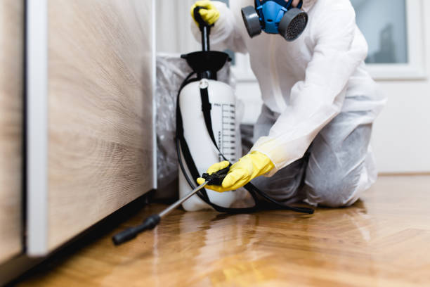  Bellefontaine Neighbors, MO Pest Control Pros