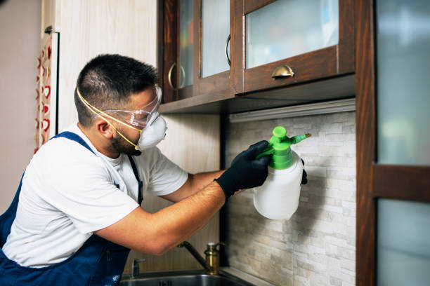 Best Pest Prevention Services  in Bellefontaine Neighbors, MO
