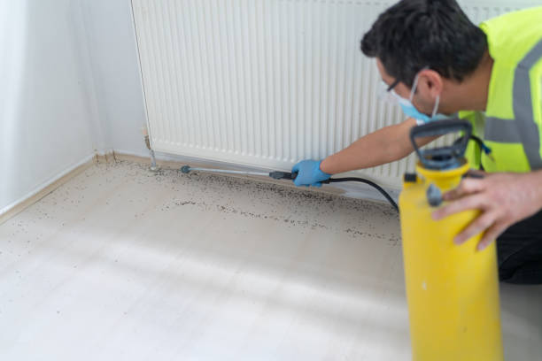 Best Pest Removal Services  in Bellefontaine Neighbors, MO