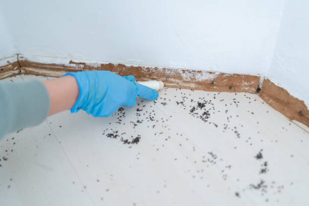 Best Pest Inspection Near Me  in Bellefontaine Neighbors, MO